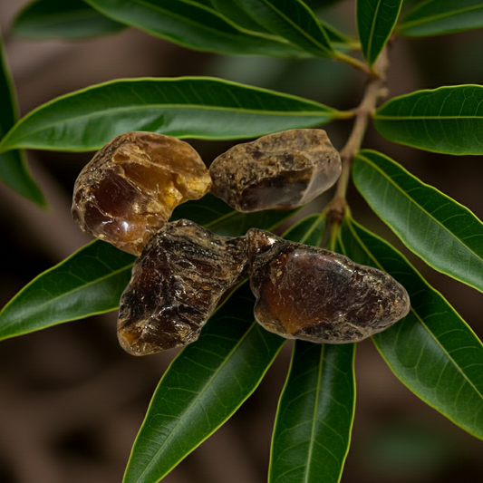 Ambre de Sumatra
