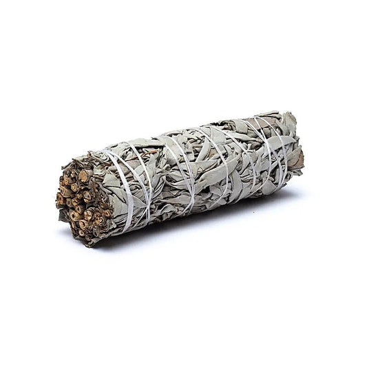Fagot de Sauge Blanche